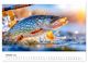 Thumbnail-12