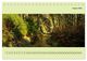 Thumbnail-13