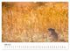 Thumbnail-11