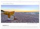 Thumbnail-14