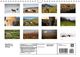Thumbnail-10