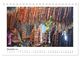 Thumbnail-14