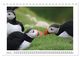 Thumbnail-9
