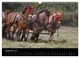 Thumbnail-11