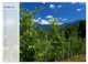 Thumbnail-12