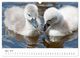 Thumbnail-9