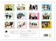 Thumbnail-13