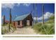 Thumbnail-11