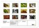 Thumbnail-9