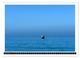 Thumbnail-12