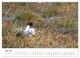 Thumbnail-11