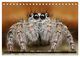 Thumbnail-14
