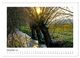 Thumbnail-14
