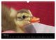 Thumbnail-8