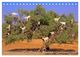 Thumbnail-11