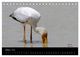 Thumbnail-12