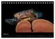 Thumbnail-8