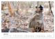 Thumbnail-11