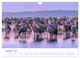Thumbnail-14