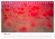 Thumbnail-12