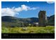 Thumbnail-11