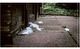 Thumbnail-8