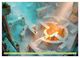 Thumbnail-13