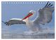 Thumbnail-14