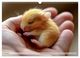 Thumbnail-11