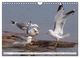 Thumbnail-9