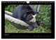 Thumbnail-9