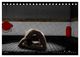 Thumbnail-12