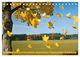 Thumbnail-12