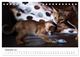 Thumbnail-14