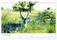 Thumbnail-12