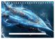 Thumbnail-14