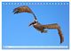 Thumbnail-8