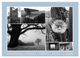 Thumbnail-13