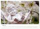 Thumbnail-10