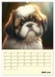 Thumbnail-11