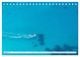 Thumbnail-10