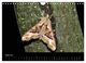 Thumbnail-9