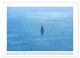 Thumbnail-11