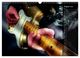 Thumbnail-10