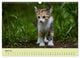 Thumbnail-9