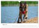Thumbnail-10
