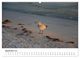 Thumbnail-13