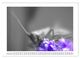 Thumbnail-14
