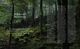 Thumbnail-16