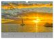 Thumbnail-11